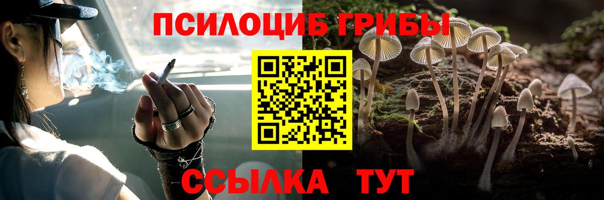 Галлюциногенные грибы прущие грибы Еманжелинск