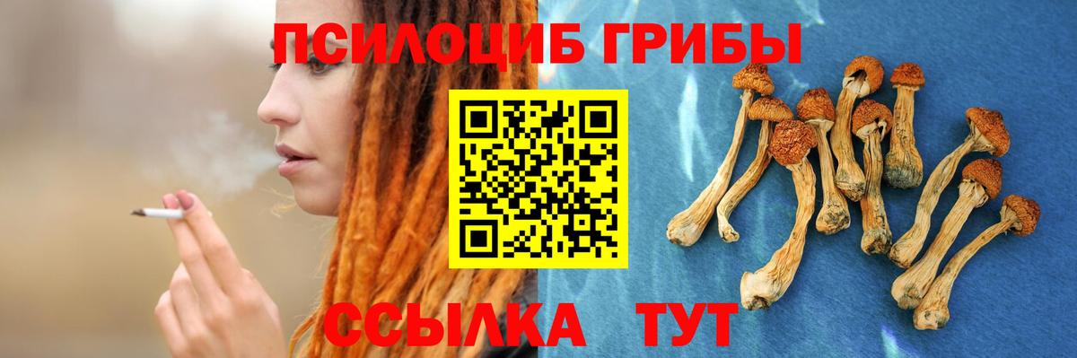 Еманжелинск  Галлюциногенные грибы Cubensis  Вход с VPN 